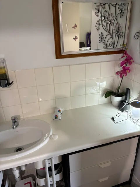 Bathroom basin and tiled splashback cleaned, with an orchid on the vanity